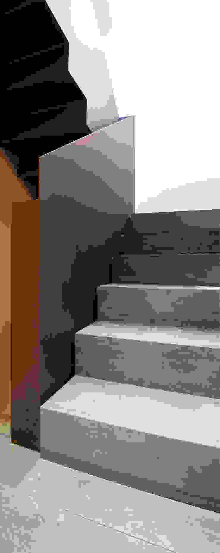 Tarimas de Autor Pasillos, vestíbulos y escaleras modernos