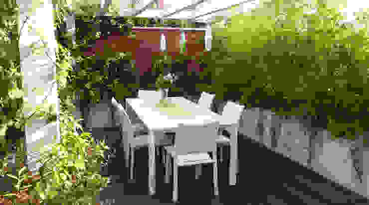TERRAZZO TRA LE NUVOLE, CRISTINA MAZZUCCHELLI GREEN DESIGN CRISTINA MAZZUCCHELLI GREEN DESIGN Moderner Balkon, Veranda & Terrasse