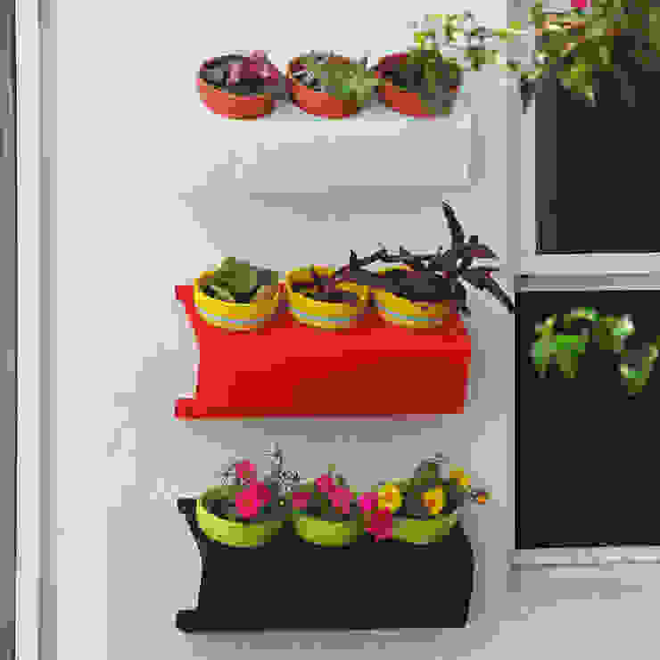 Decoración del Hogar, Sílice - almacén de diseño - Sílice - almacén de diseño - Moderner Balkon, Veranda & Terrasse Pflanzen und Blumen