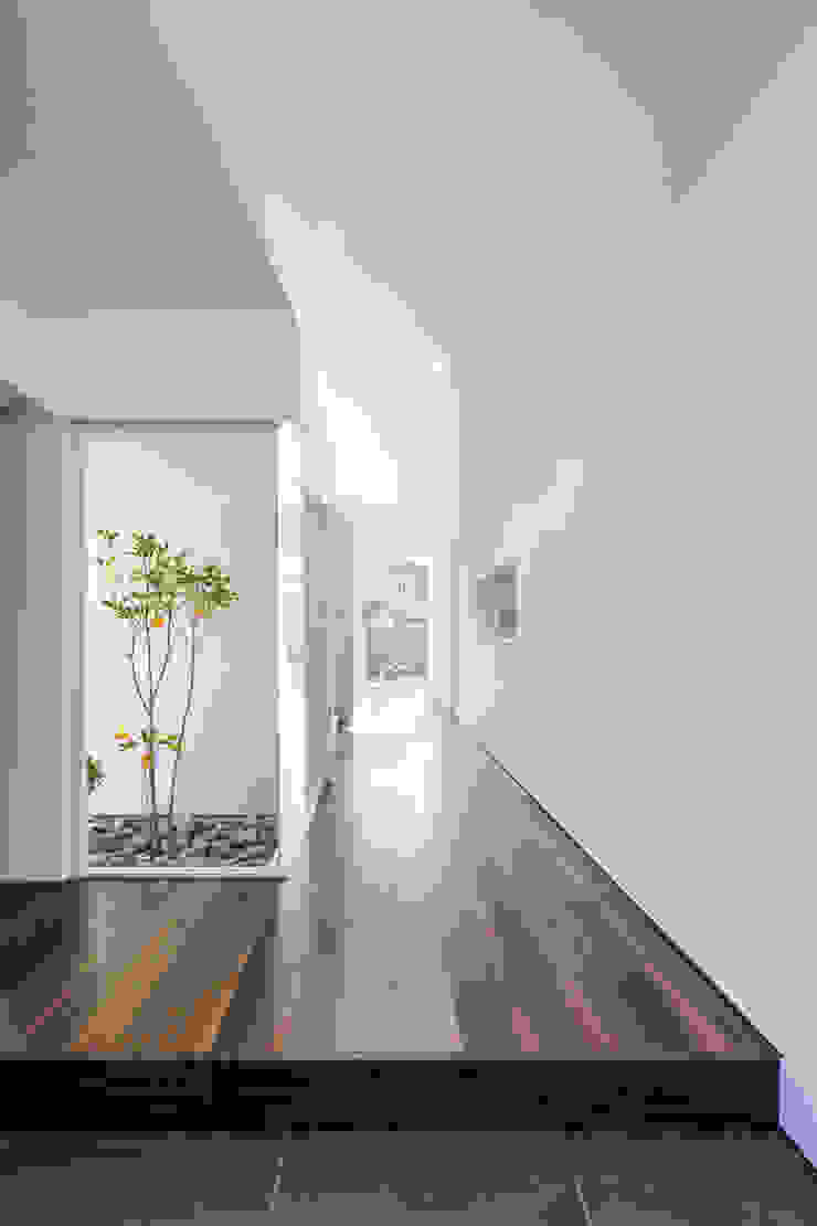 四万十の家, 株式会社細川建築デザイン 株式会社細川建築デザイン Modern corridor, hallway & stairs