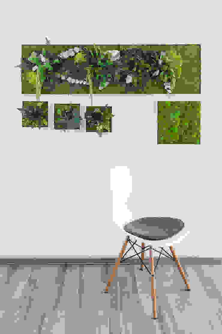 Titelbild Kollektion styleGREEN im Style Ambiente FlowerArt GmbH | styleGREEN Innengarten Naturfaser Mehrfarbig Raumbegrünung