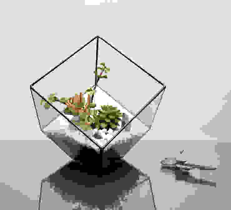 Terrarium Installations, The Urban Botanist The Urban Botanist Living room