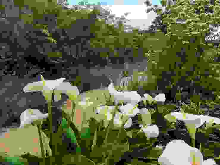 Walled Garden, Bradford Upon Avon Modern garden by Katherine Roper Landscape & Garden Design Modern