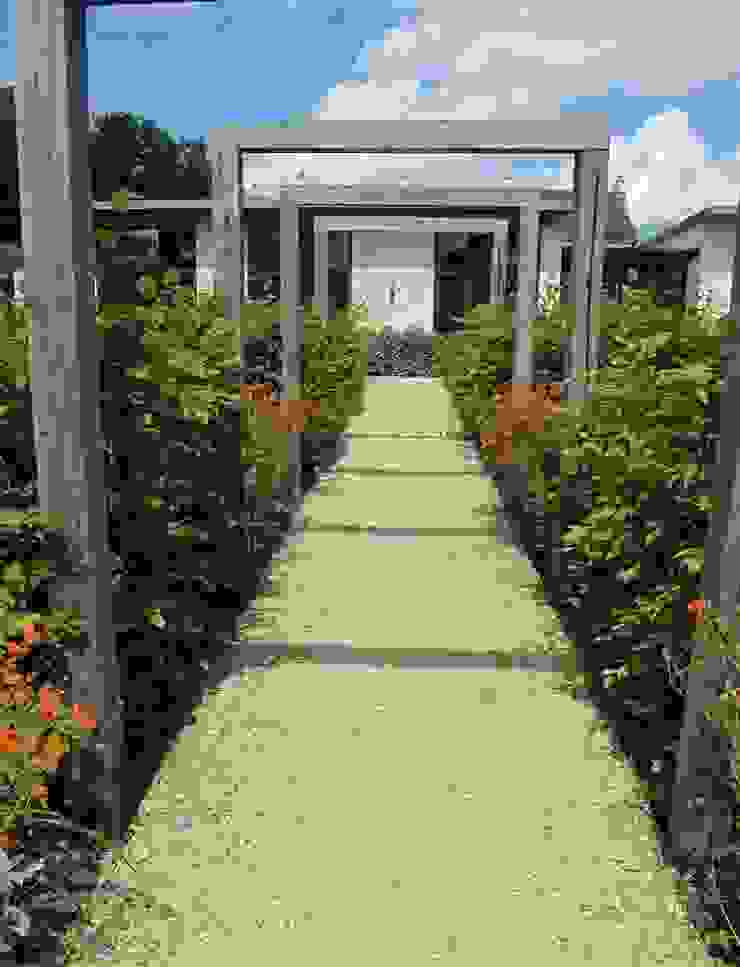 Walled Garden, Bradford Upon Avon Modern garden by Katherine Roper Landscape & Garden Design Modern