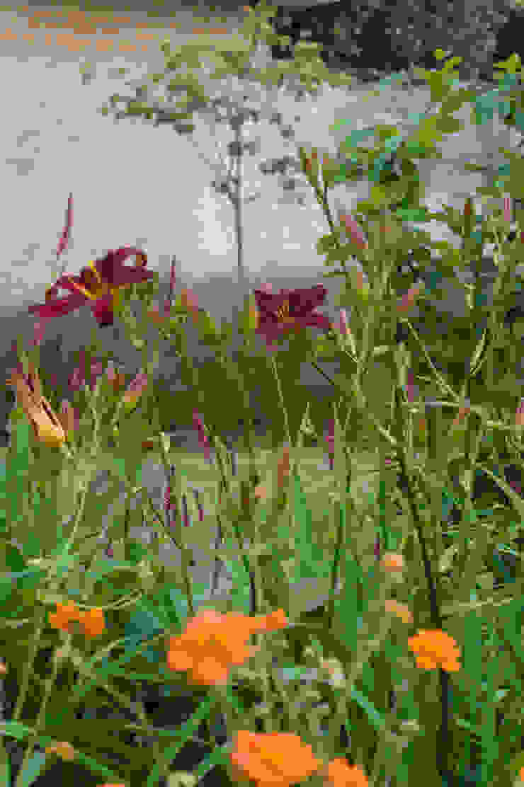 Walled Garden, Bradford Upon Avon Modern garden by Katherine Roper Landscape & Garden Design Modern