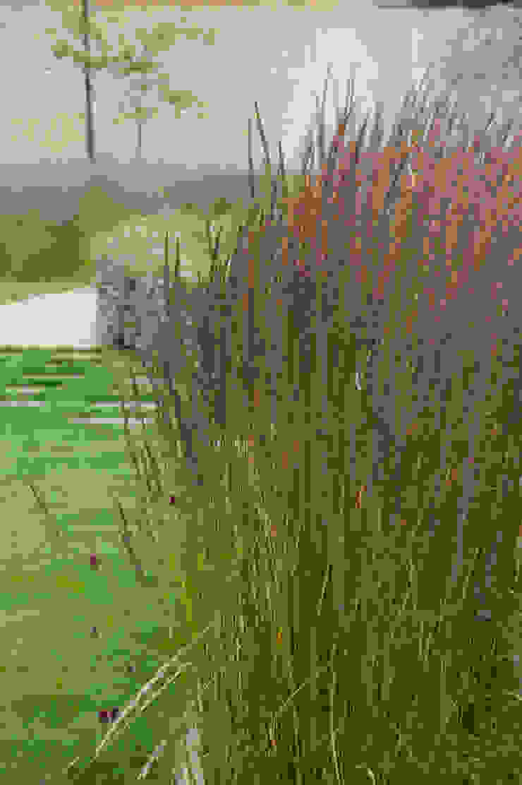 Walled Garden, Bradford Upon Avon Modern garden by Katherine Roper Landscape & Garden Design Modern