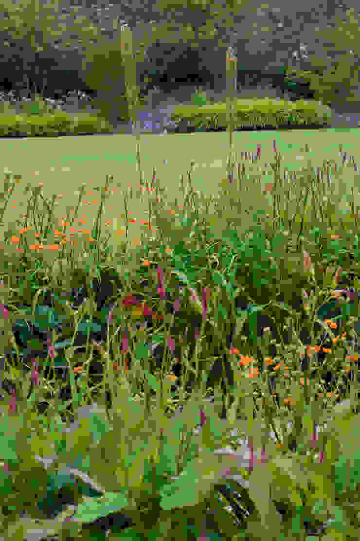 Walled Garden, Bradford Upon Avon Modern garden by Katherine Roper Landscape & Garden Design Modern