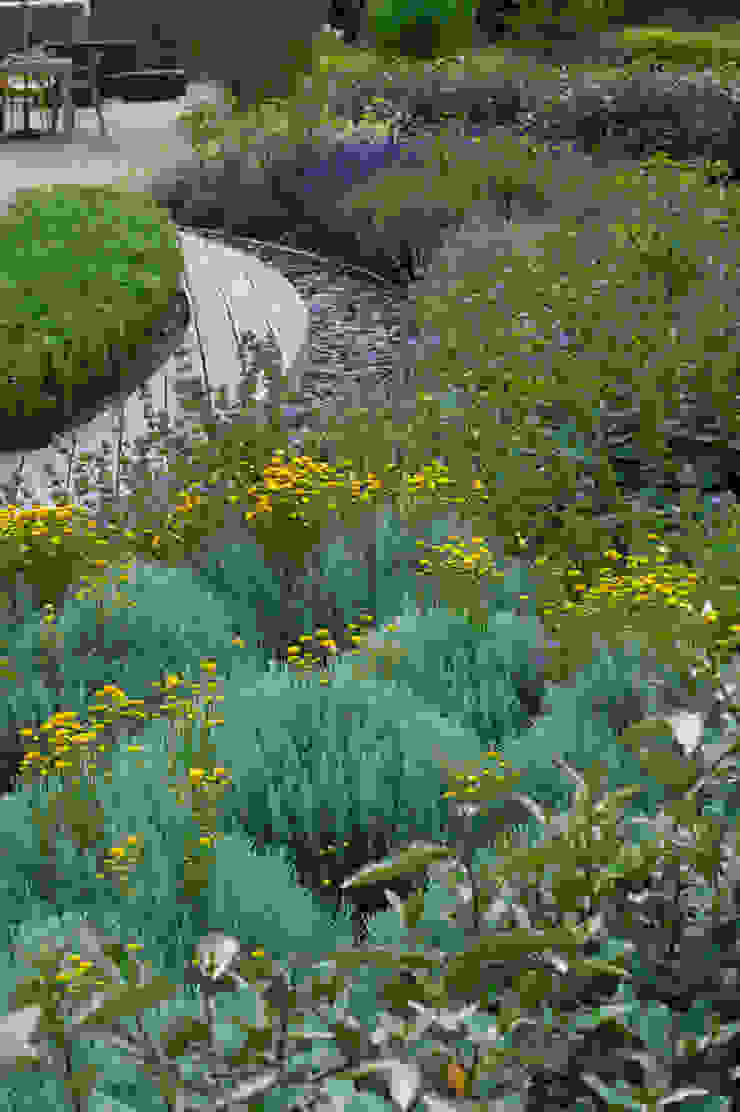 Walled Garden, Bradford Upon Avon Modern garden by Katherine Roper Landscape & Garden Design Modern