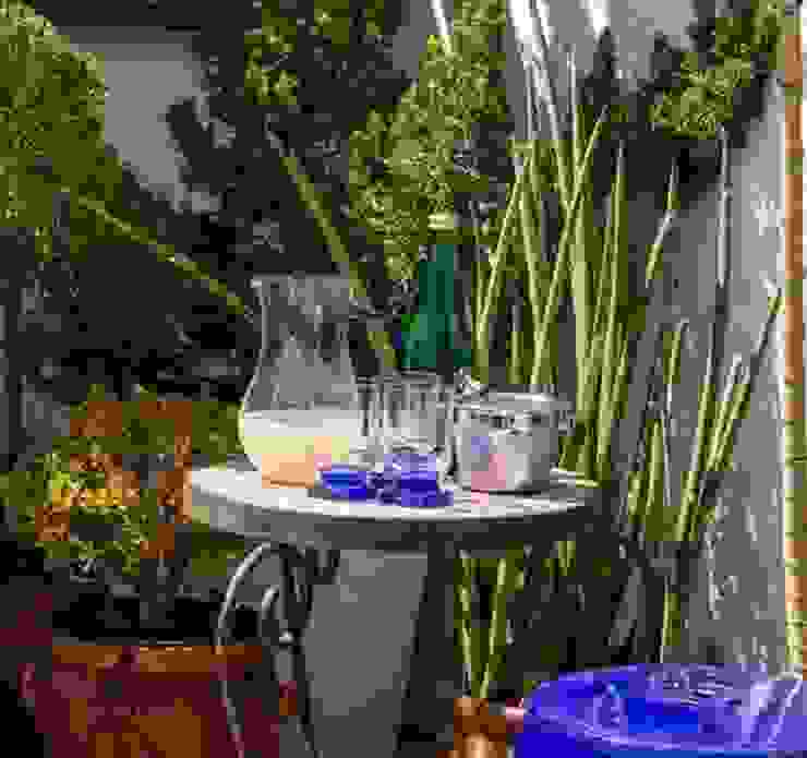 Blacher Arquitetura Eclectic style garden