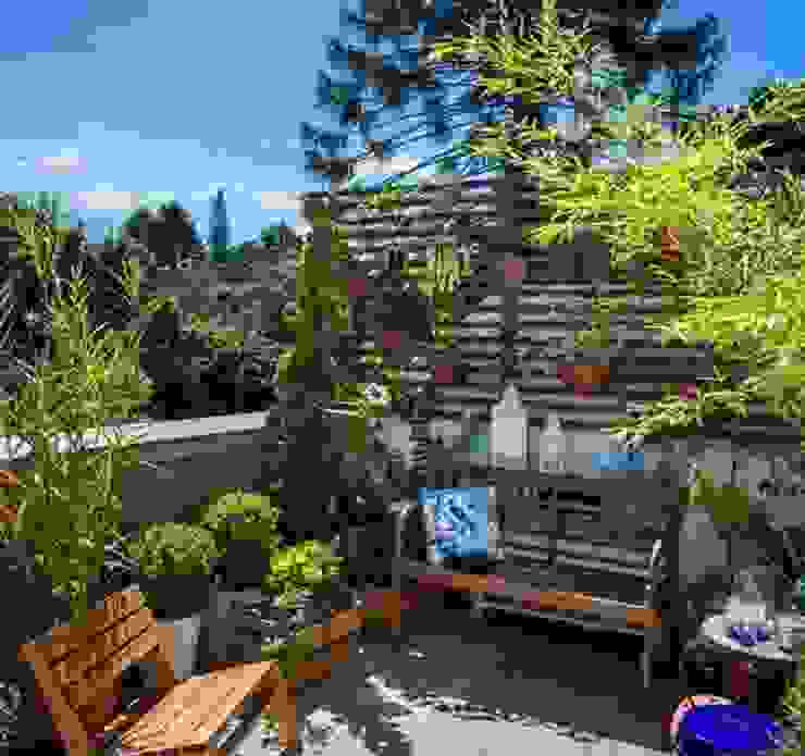 Blacher Arquitetura Eclectic style garden