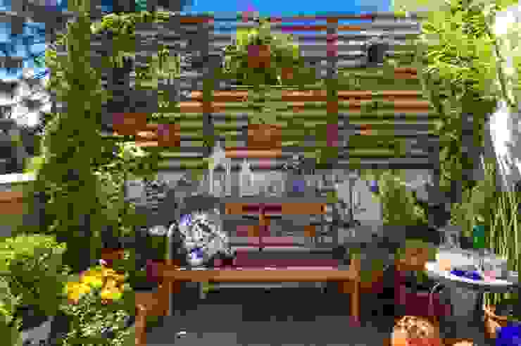 Terraço Blacher Arquitetura Jardins ecléticos Plantar,Flor,Propriedade,Mobiliário,Céu,Azul,Botânica,Vaso de flores,Mesa,Móveis de exterior