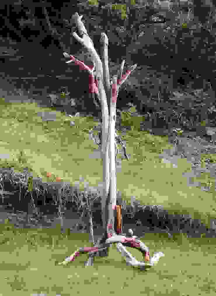 Driftwood Coat Hooks/Coat Stands homify