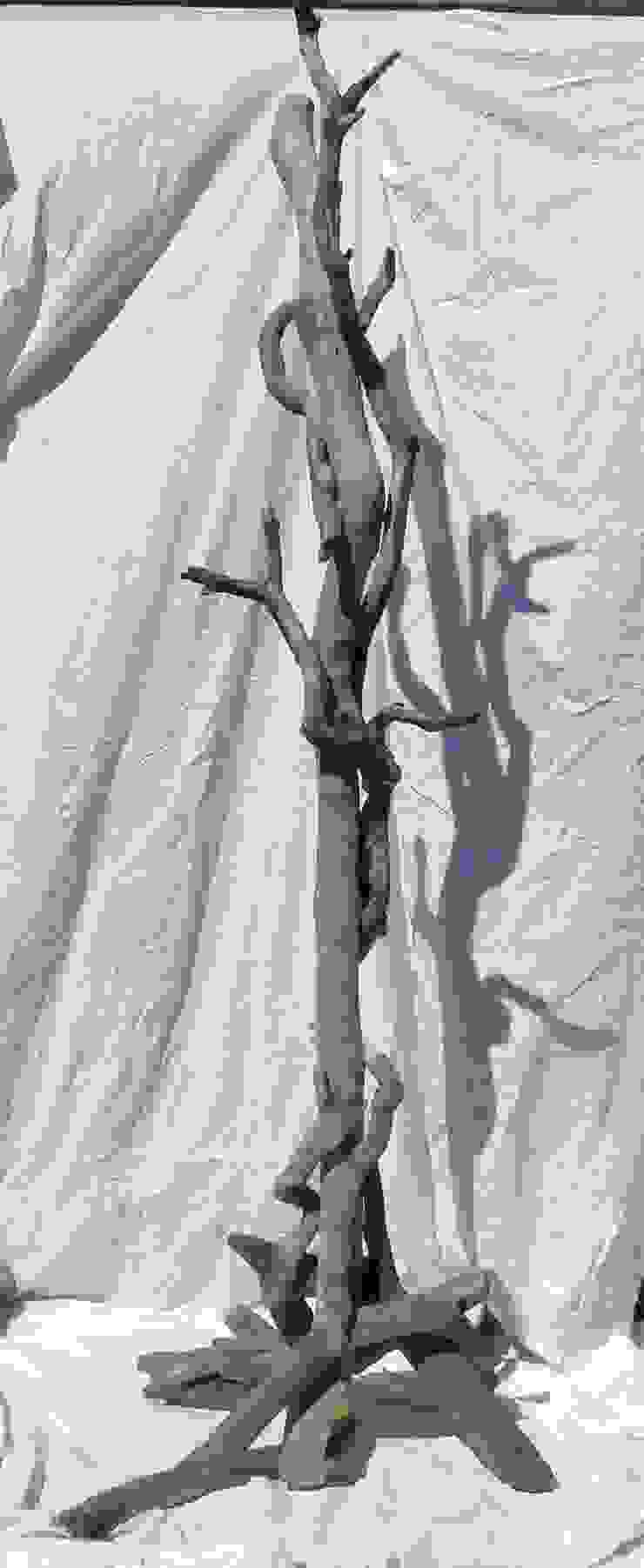 Driftwood Coat Hooks/Coat Stands by Julia's Driftwood homify