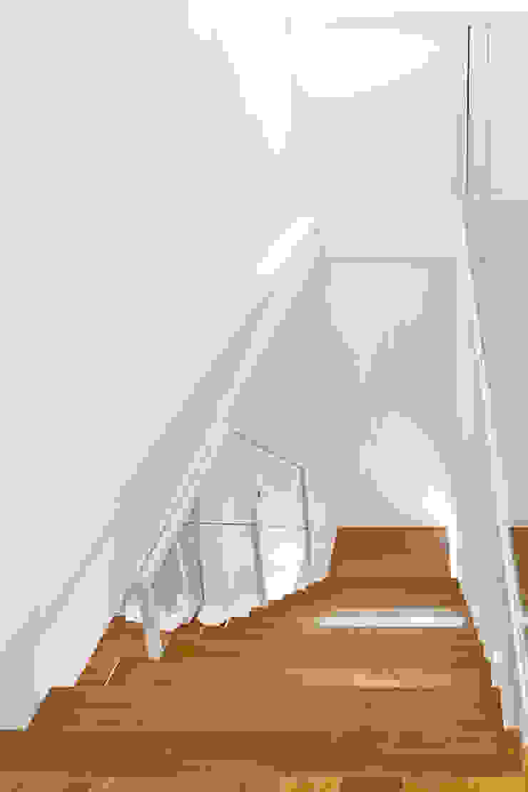 Andrea Stortoni Architetto الممر الحديث، المدخل و الدرج