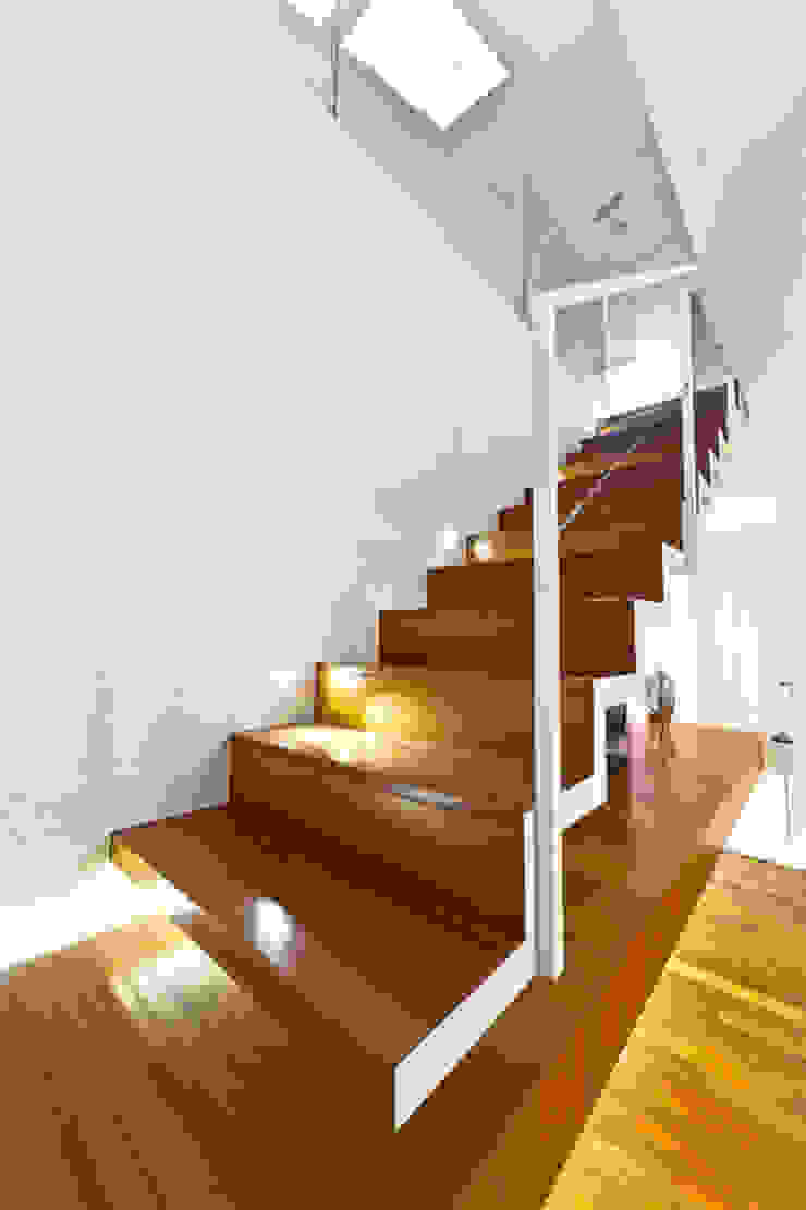 Andrea Stortoni Architetto الممر الحديث، المدخل و الدرج