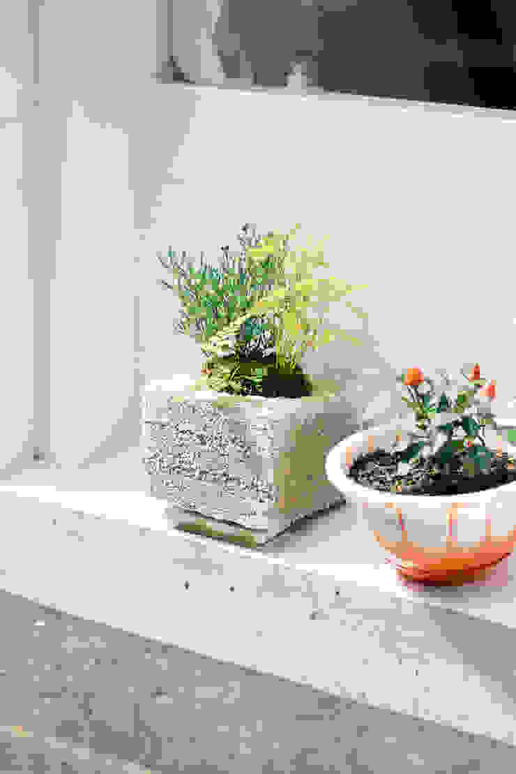 coil松村一輝建設計事務所 Interior landscaping