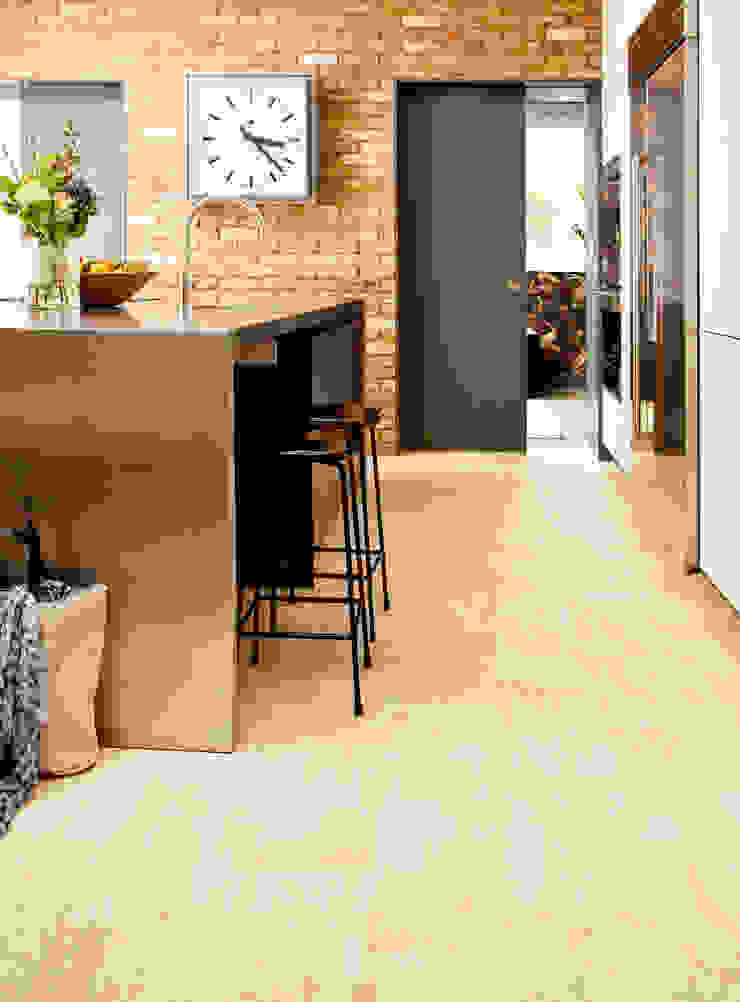 حديث  تنفيذ Leoline, حداثي   