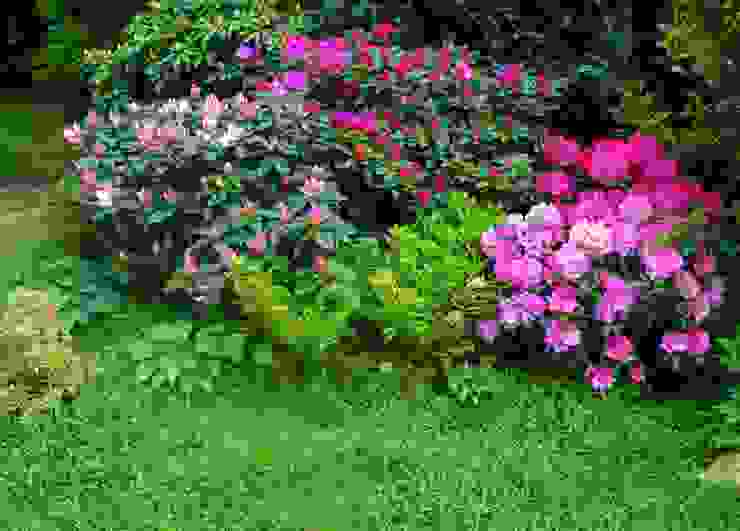 De rhododendron snoeien: alles wat je moet weten! | homify