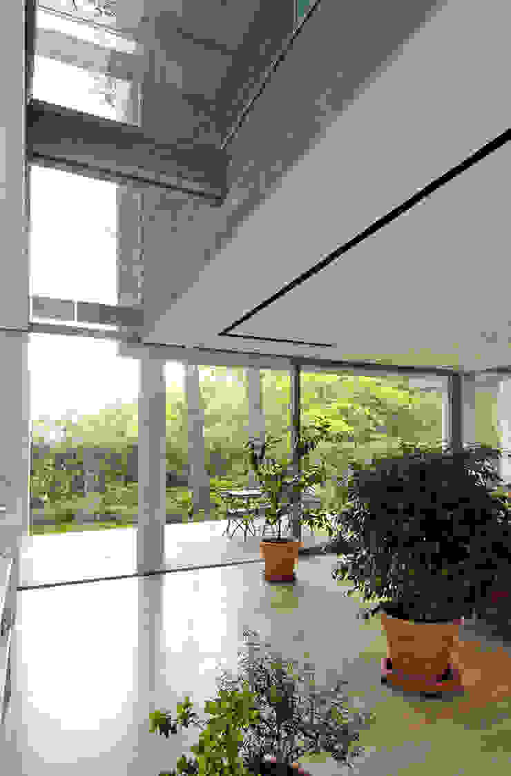 by NAT OFFICE - christian gasparini architect Modern