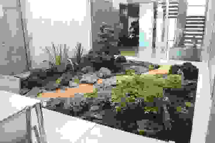 Jardin japones con Niwaki, Jardines Japoneses -- Estudio de Paisajismo Jardines Japoneses -- Estudio de Paisajismo Jardines japoneses jardin,pario japones,patio japones,patio zen,jardin pequeño,minimal garden