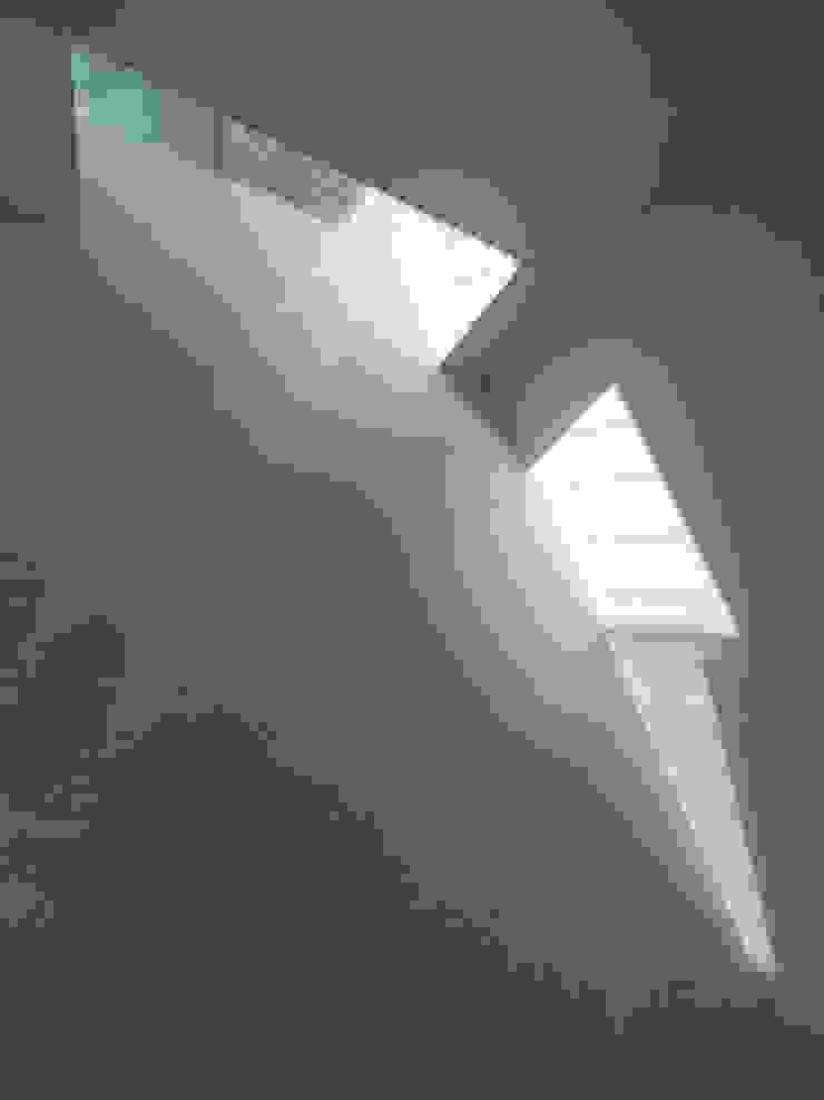 30 Cardozo Road - basement daylighting Jack Woolley Спальня