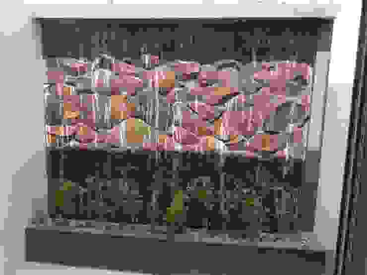 Jardins modernos por CONSTRUCTORA ARQOCE Moderno