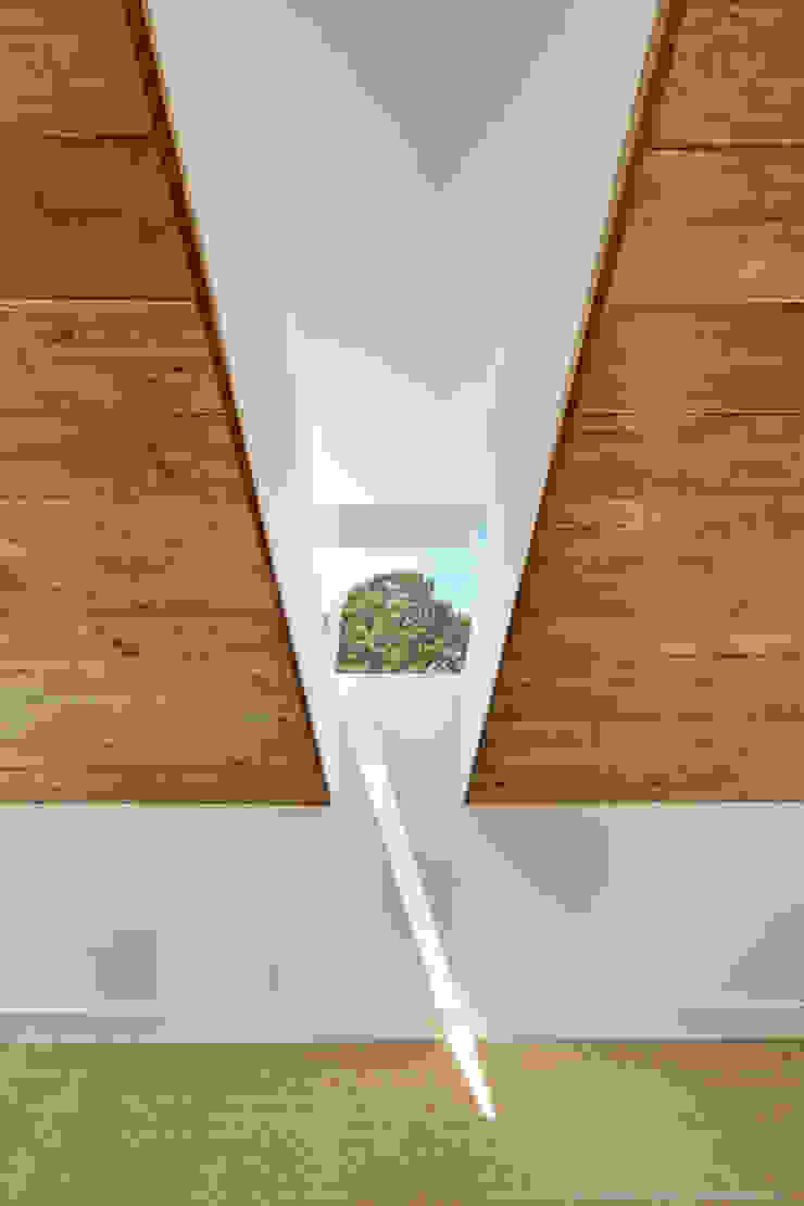 Palma Plaza Residence Hugh Jefferson Randolph Architects Modern windows & doors