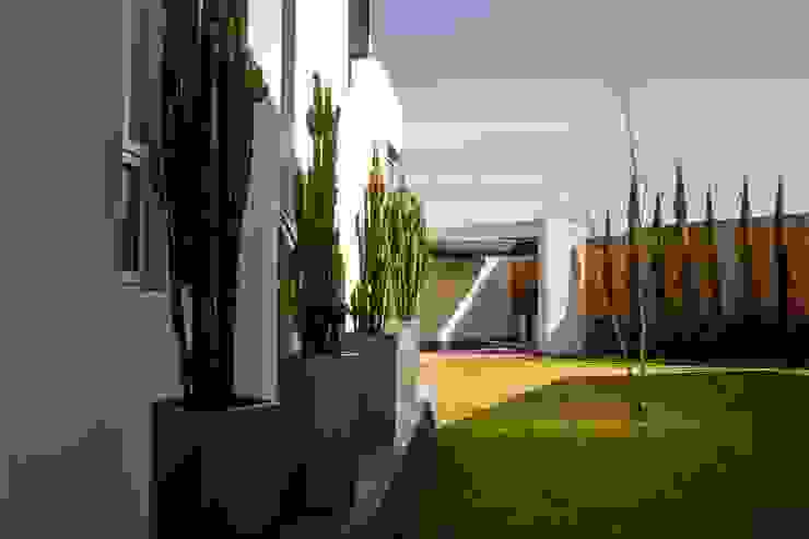 GRUPO VOLTA Modern Garden