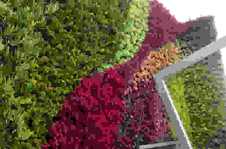 Muros Verdes - Jardines Verticales , ENVERDE ENVERDE Тераса