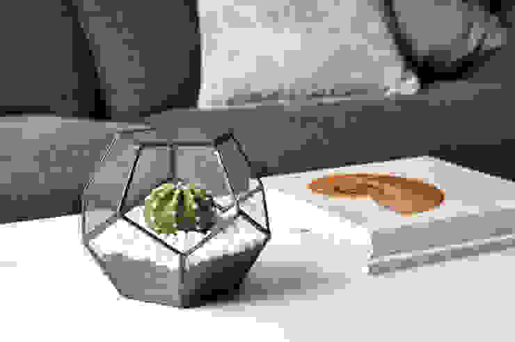 Terrario Dodecaedro, ZetaGlass ZetaGlass CasaPlantas e acessórios Vidro Transparente
