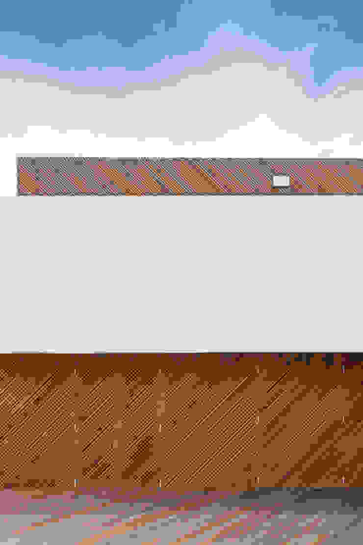 SilverWoodHouse Joao Morgado - Architectural Photography Case moderne