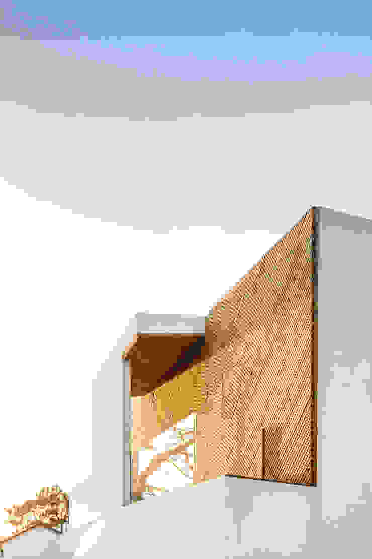 SilverWoodHouse Joao Morgado - Architectural Photography Case moderne