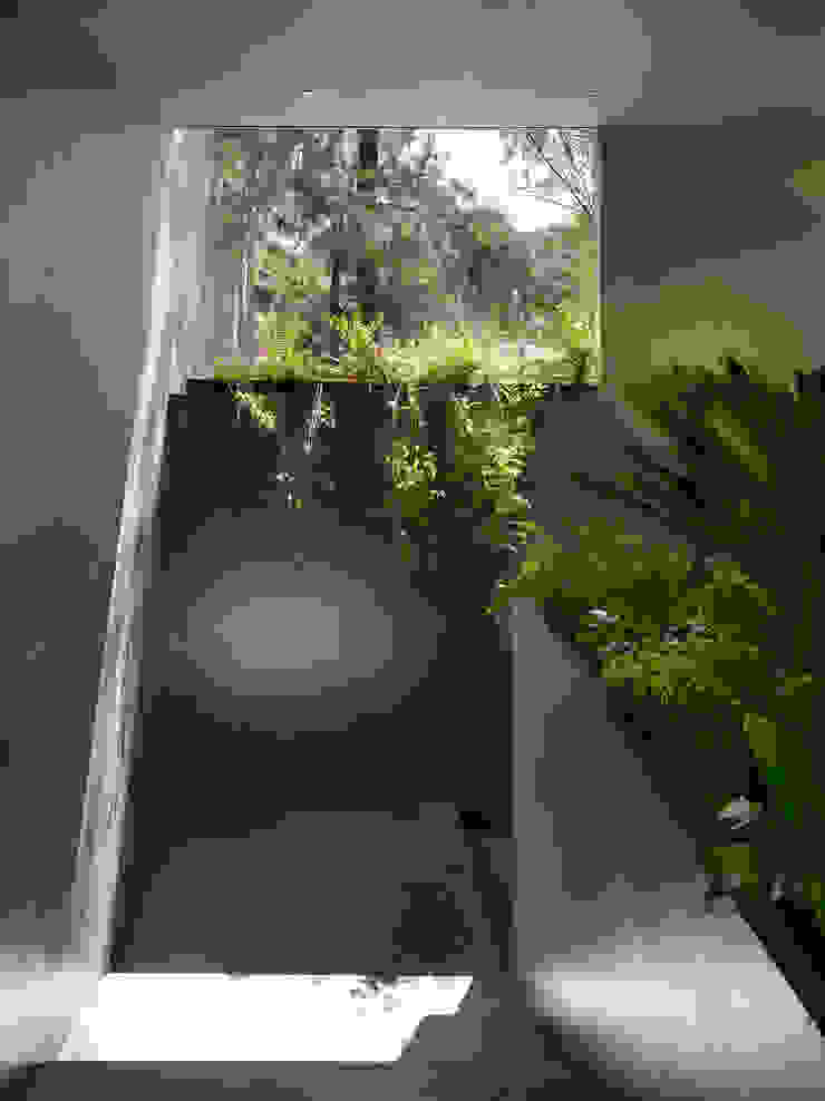 Ezequiel Farca Modern Corridor, Hallway and Staircase