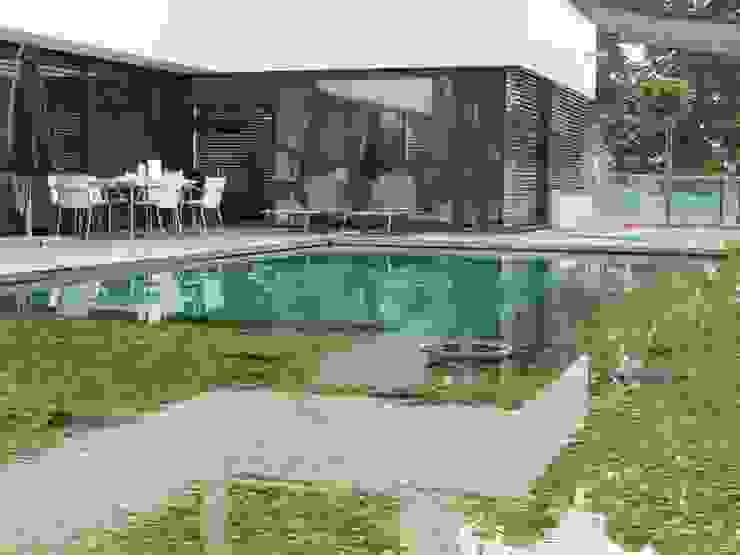 Design Bio Pool, Nagelschmitz Garten- und Landschaftsgestaltung GmbH Nagelschmitz Garten- und Landschaftsgestaltung GmbH Moderner Garten Wasser,Pflanze,Gebäude,Schwimmbad,Gras,Schatten,Sessel,Urban design,Freizeit,Wohngebiet