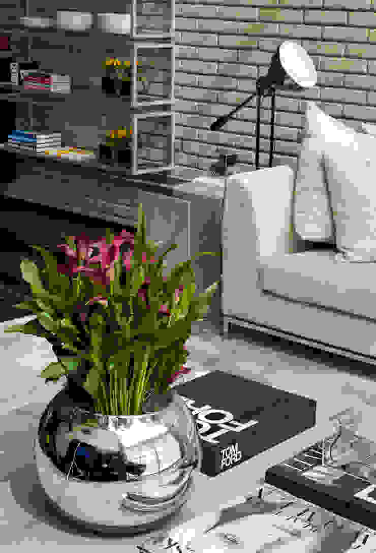 DIEGO REVOLLO ARQUITETURA S/S LTDA. غرفة المعيشة