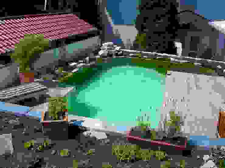 Wassergarten, TEAM ADELFINGER TEAM ADELFINGER