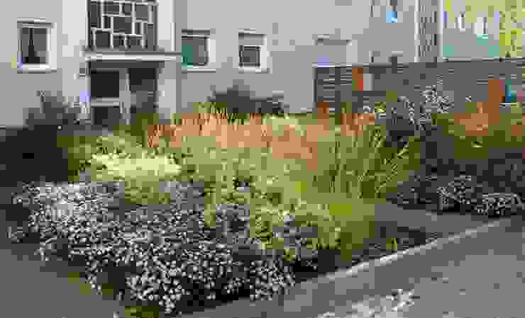 GÄRTNERISCH AUFGEWERTETE 60ER-JAHRE WOHNANLAGE, Ullsteinstraße, Berlin-Tempelhof, Büro Christian Meyer Büro Christian Meyer Moderner Garten Blume,Anlage,Fenster,Tageszeit,Pflanzengemeinschaft,Gebäude,Straßenbelag,Haus,Gras,Nachbarschaft