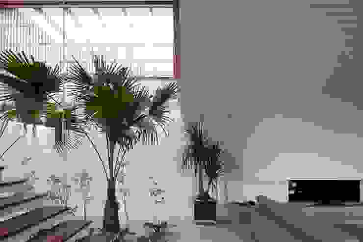 MAN Gálvez & Márton Arquitetura Casas modernas