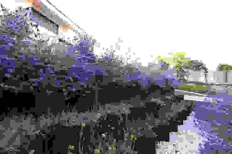 Árboles y arbustos para un jardín pequeño con encanto | homify