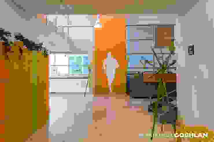 MARIANGEL COGHLAN Nowoczesny korytarz, przedpokój i schody