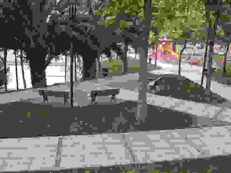 BAZALT KÜPTAŞ Moderner Garten