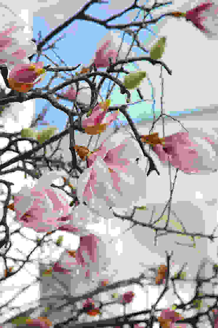 homify Giardino interno Paesaggio d'interni