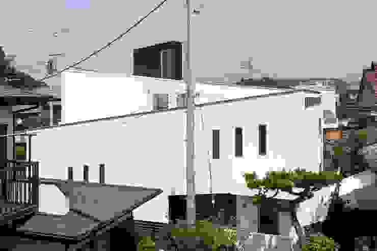 スロープの家（spairal court）愛犬家住宅, 前田敦計画工房 前田敦計画工房 Casas modernas