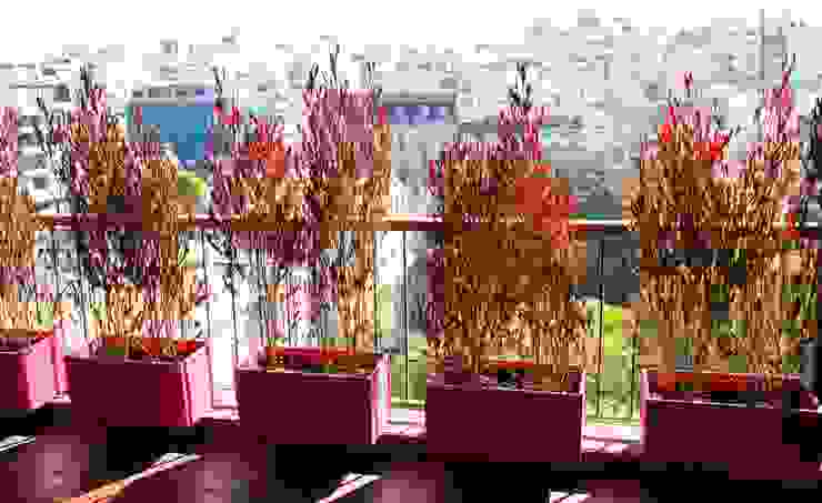 Un Balcón para una Coleccionista de Arte, Estudio Nicolas Pierry: Diseño en Arquitectura de Paisajes & Jardines Estudio Nicolas Pierry: Diseño en Arquitectura de Paisajes & Jardines Nowoczesny balkon, taras i weranda