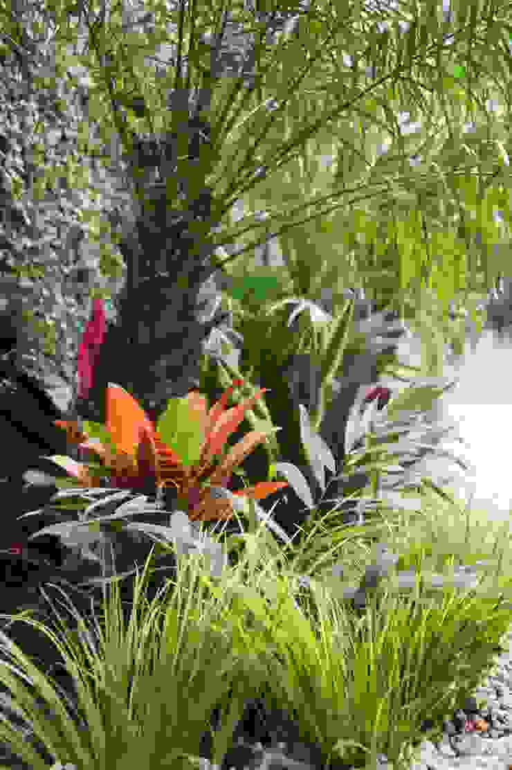 Jardín de Sombra | homify