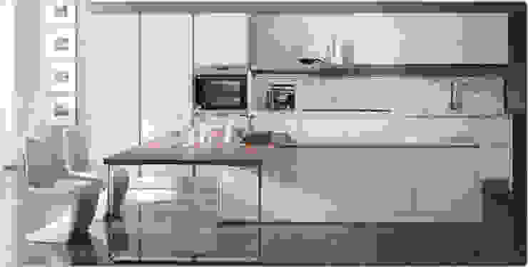 COCINAS MODERNAS, Maxel Maxel آشپزخانه صفحه ی کابینت آشپزخانه