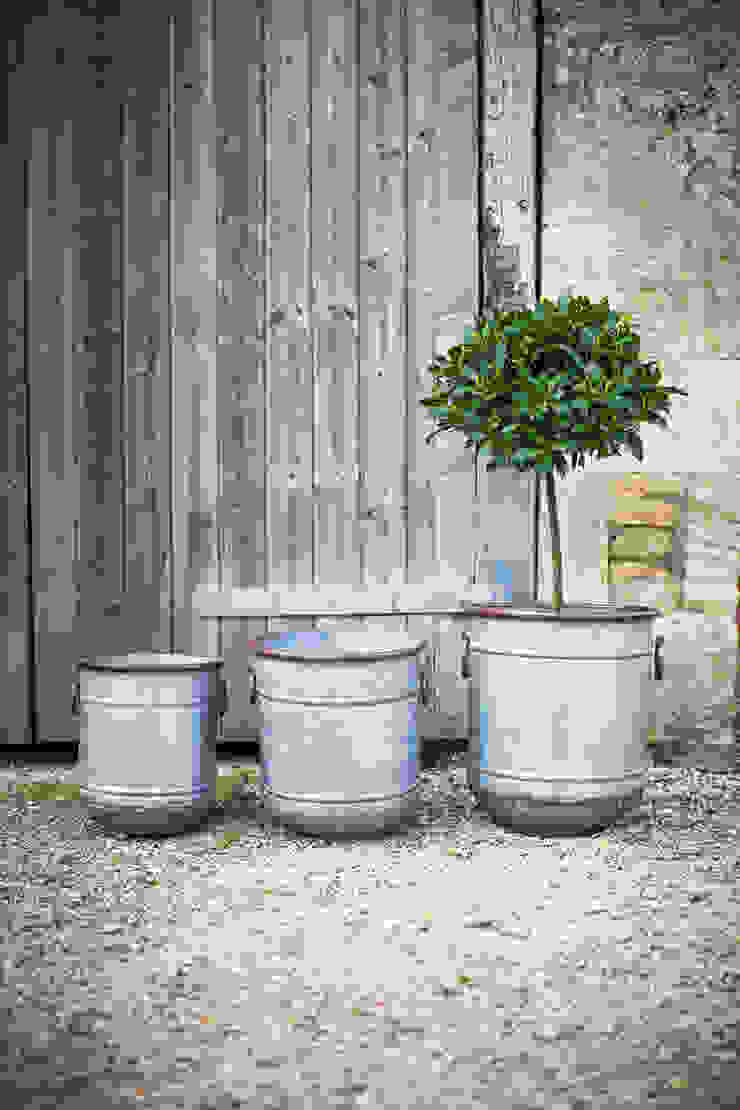 Set of 3 Malmesbury Planters Garden Trading Rustikaler Garten Blumentöpfe und Vasen