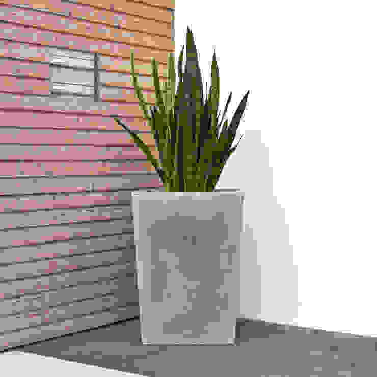 Kunststoff Pflanztrog "LARGO M" Pflanzkübel-direkt Klassischer Garten Blumentöpfe und Vasen