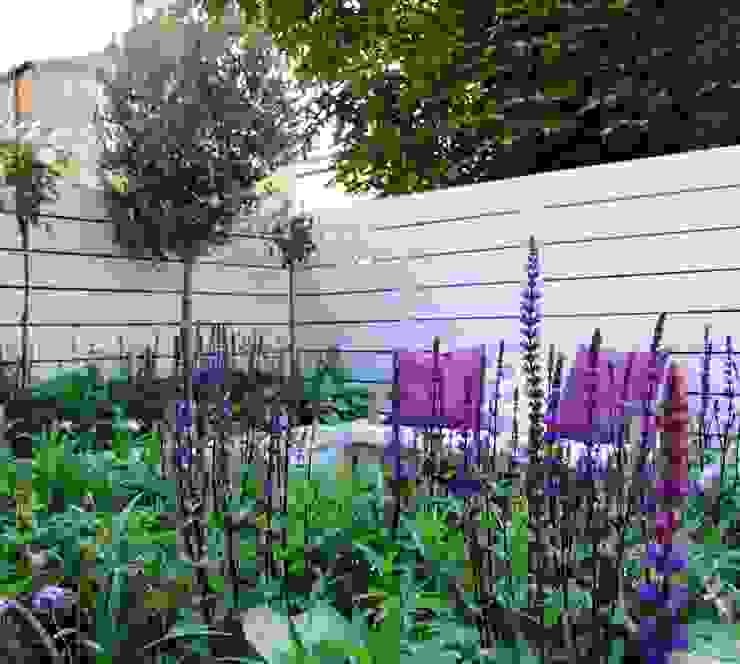 Small urban garden Ruth Willmott Modern Garden