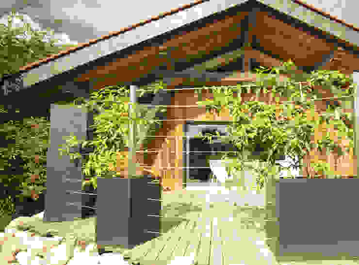Bacs Image'In / Treillis pour plantes grimpantes ATELIER SO GREEN Maisons originales Biens,Plante,Ombre,Architecture,Bois,Jaune,Biome,Doubler,Immeuble,Ciel